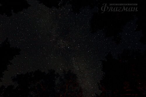 IMG_3538_r